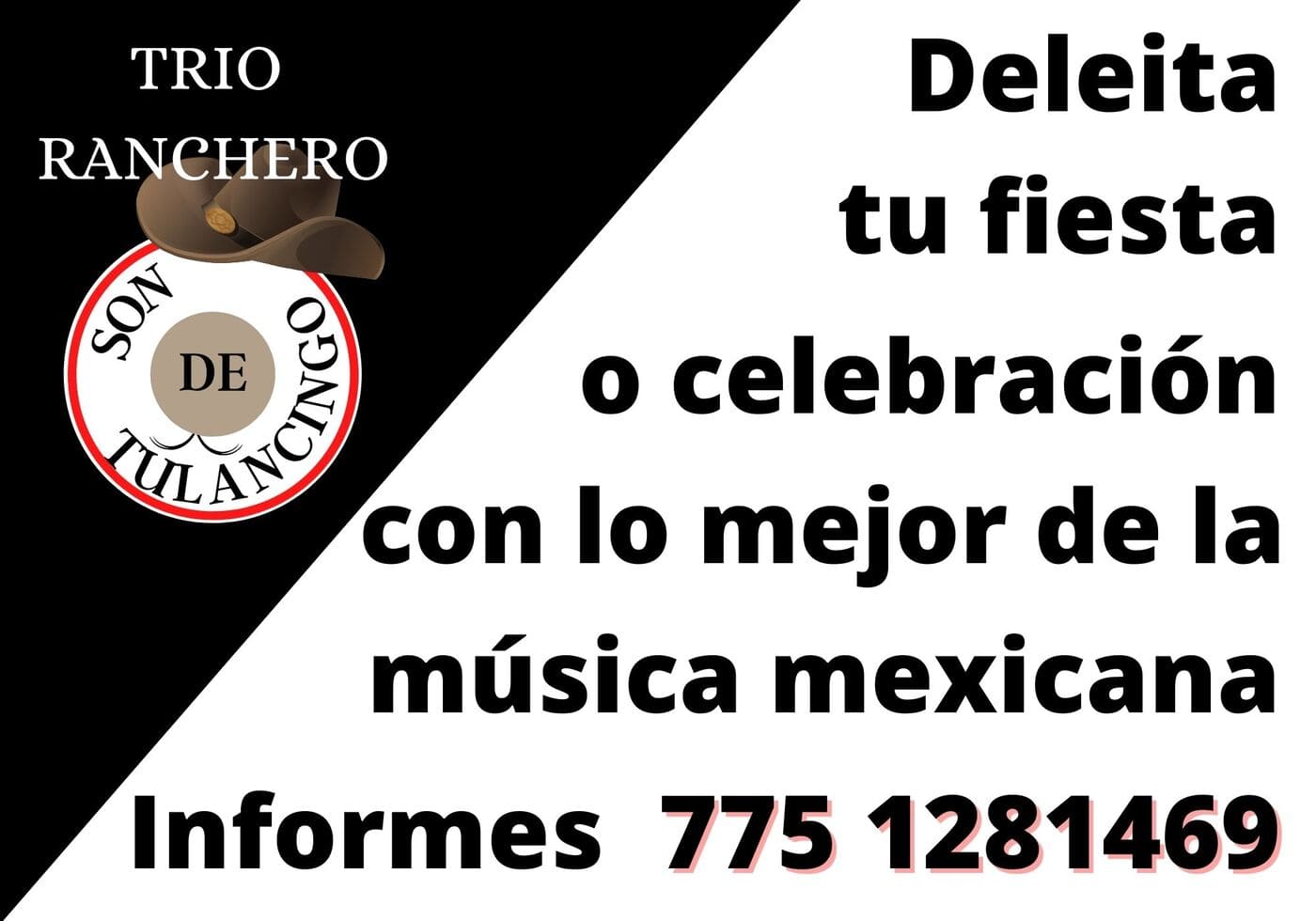 Trio ranchero en Tulancingo Hidalgo Trio ranchero y huapanguero Tulancingo