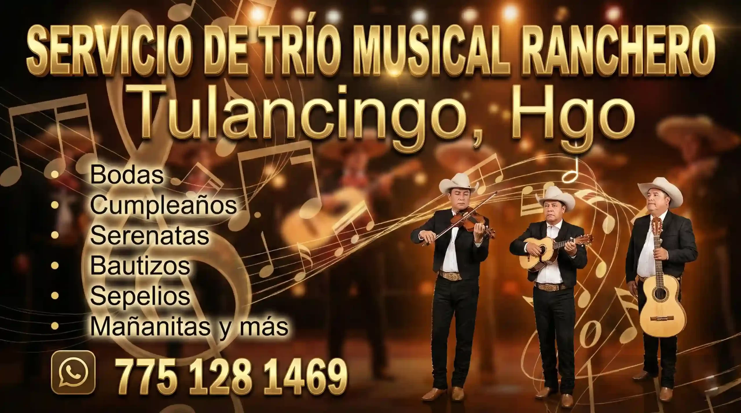 Trio musical ranchero en Tulancingo Hidalgo