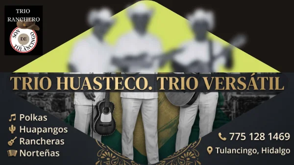 trio en Tulancingo hidalgo precios Cotice trio musical en Tulancingo Hidalgo